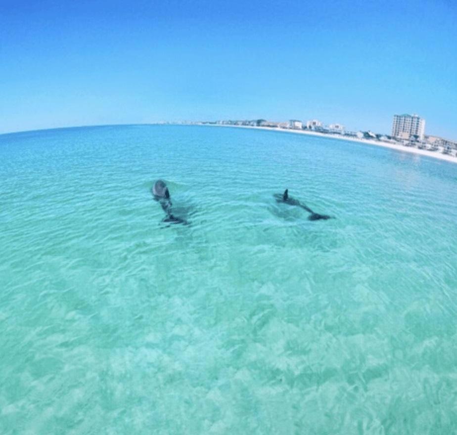 Slt #2043 - Stunning View! Free Beach Service! Destin Kültér fotó